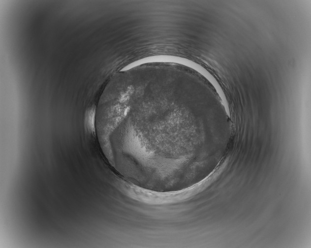 X0000095960047200802081326