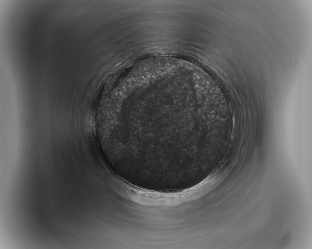 X0000095960048200802081326