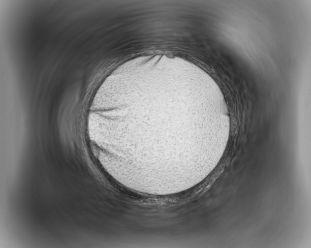 X0000095960049200802081325