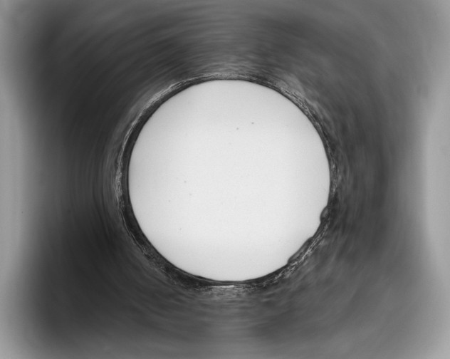 X0000095960050200802081325