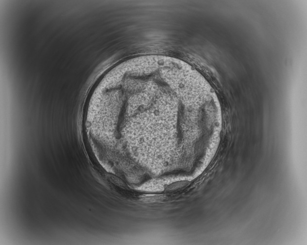 X0000095960051200802081325