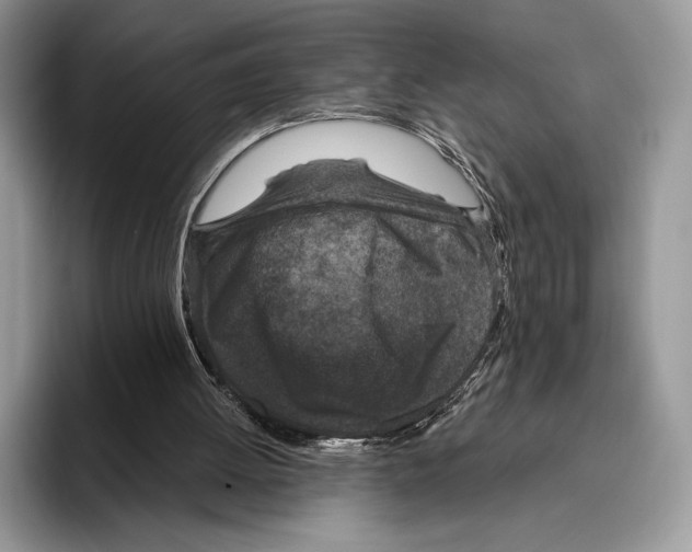 X0000095960052200802081325