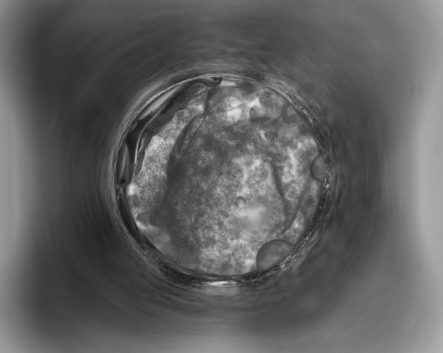 X0000095960053200802081325