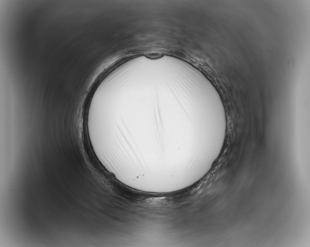 X0000095960054200802081325