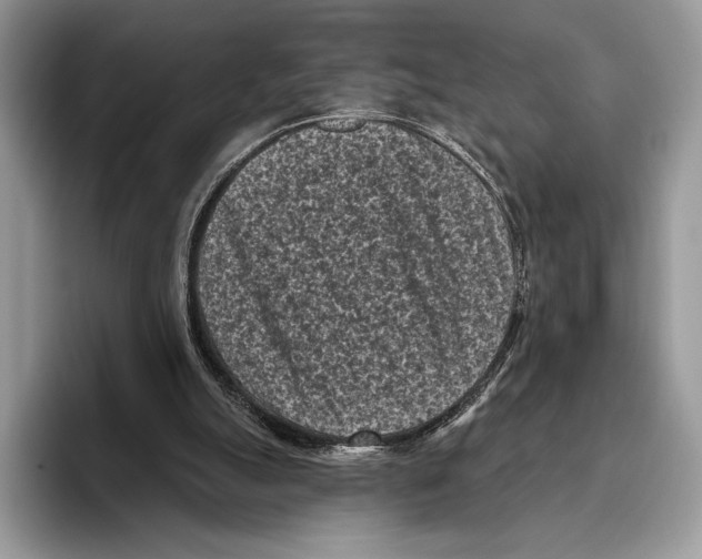 X0000095960055200802081326