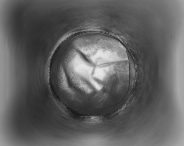 X0000095960056200802081326