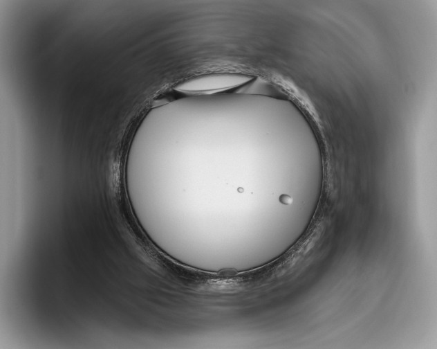X0000095960057200802081326