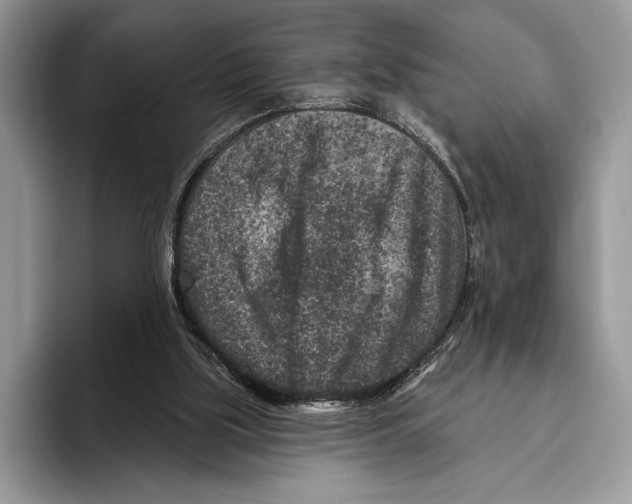 X0000095960059200802081326