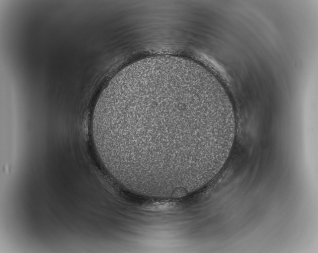 X0000095960065200802081326