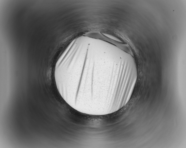 X0000095960066200802081326