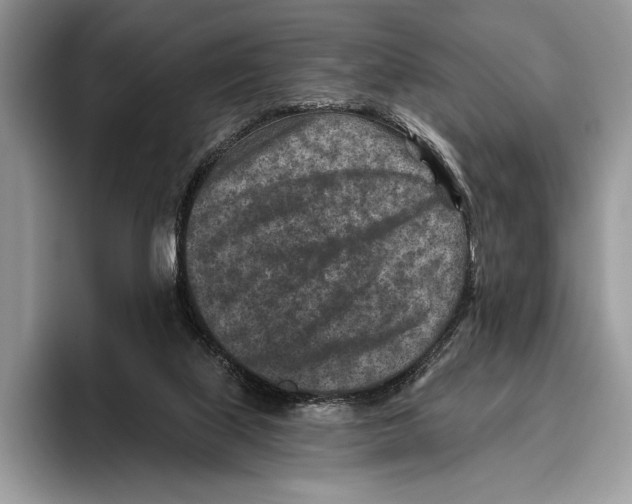 X0000095960067200802081326