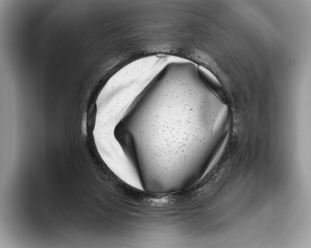 X0000095960068200802081326