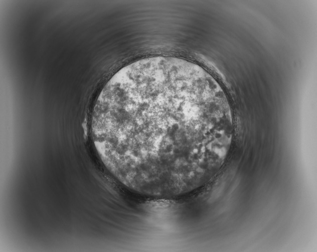 X0000095960069200802081326