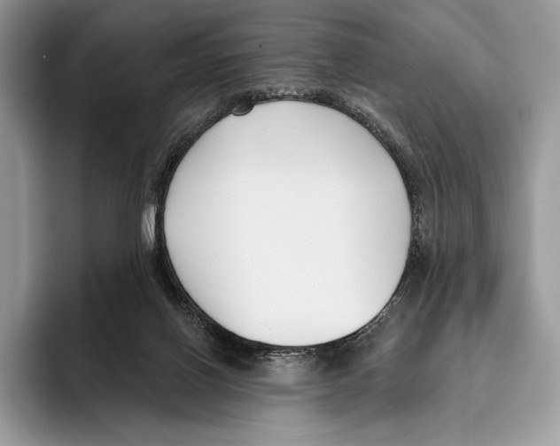 X0000095960070200802081326