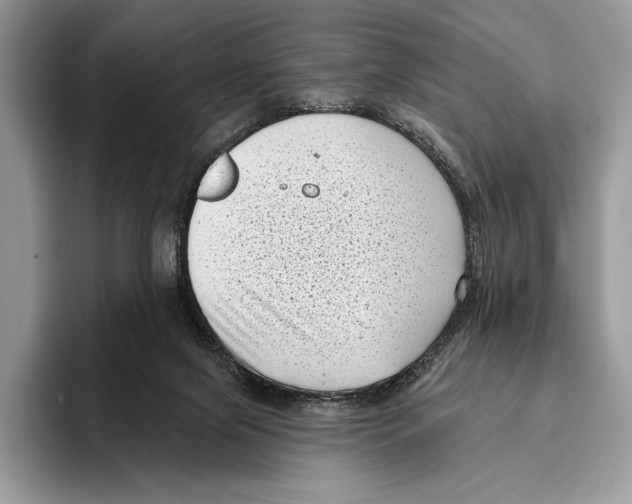X0000095960071200802081326