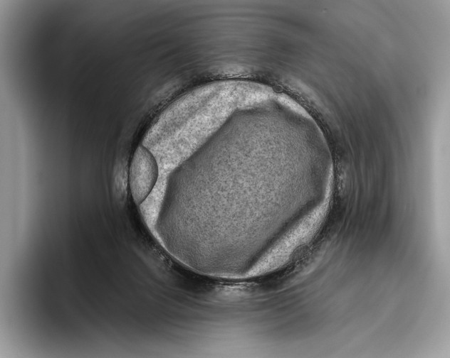 X0000095960072200802081326