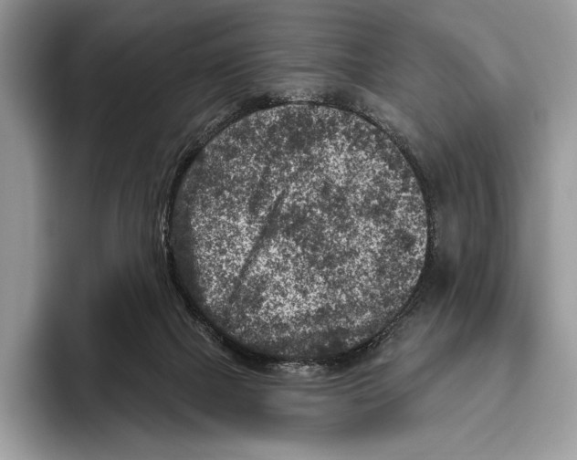 X0000095960073200802081326
