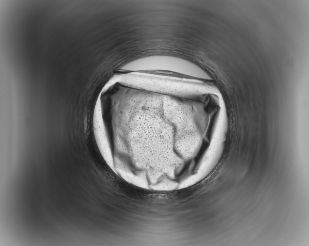 X0000095960074200802081326