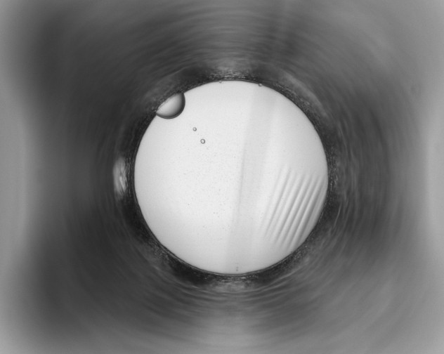 X0000095960075200802081326
