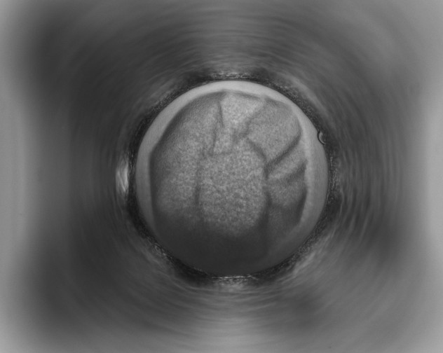 X0000095960076200802081326