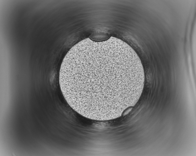 X0000095960079200802081326