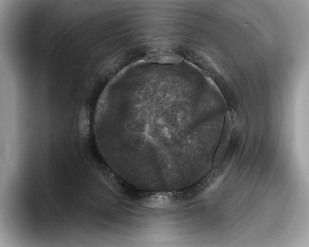 X0000095960080200802081326