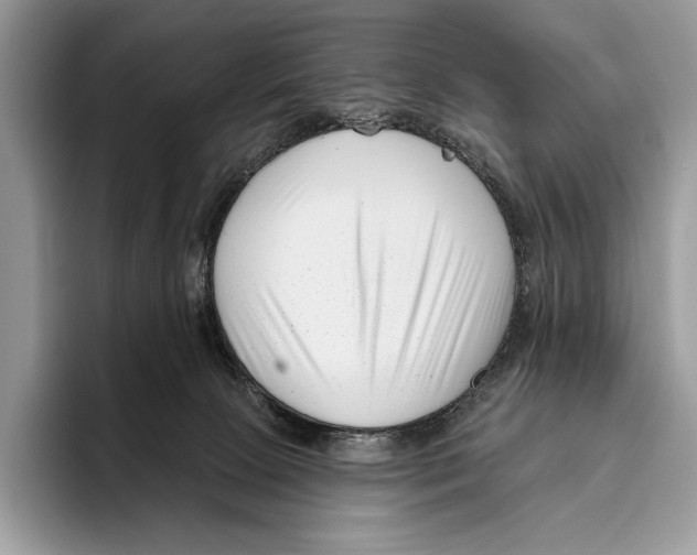 X0000095960081200802081326