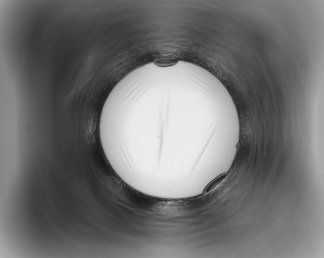 X0000095960082200802081326