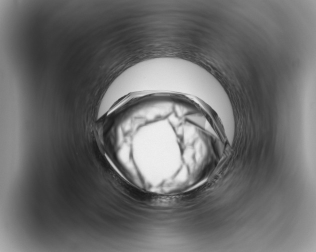 X0000095960084200802081326