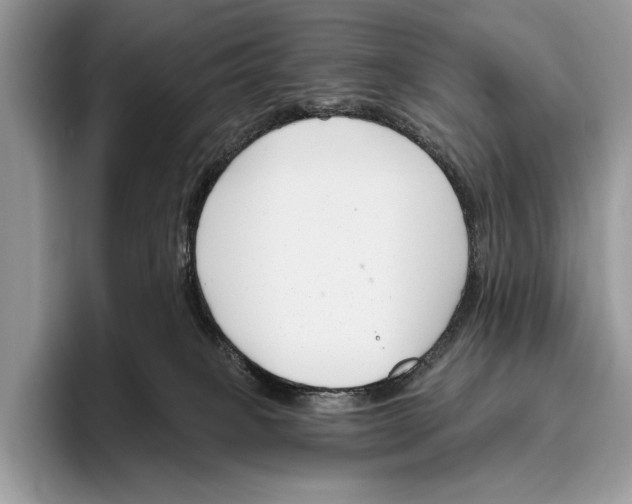 X0000095960085200802081326