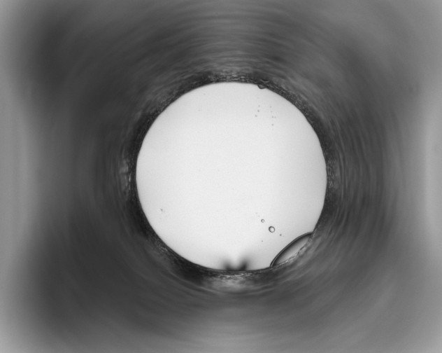 X0000095960086200802081326