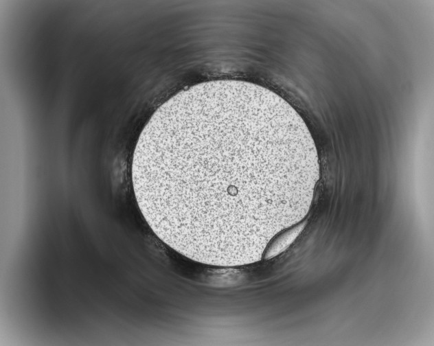 X0000095960087200802081326