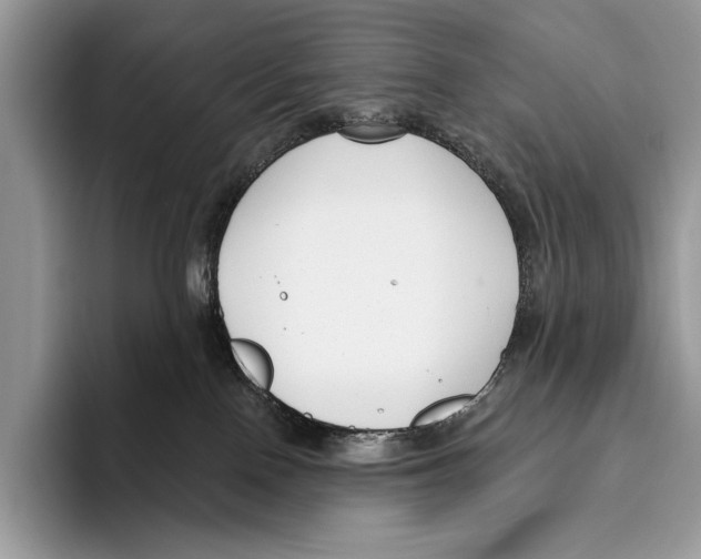 X0000095960090200802081326