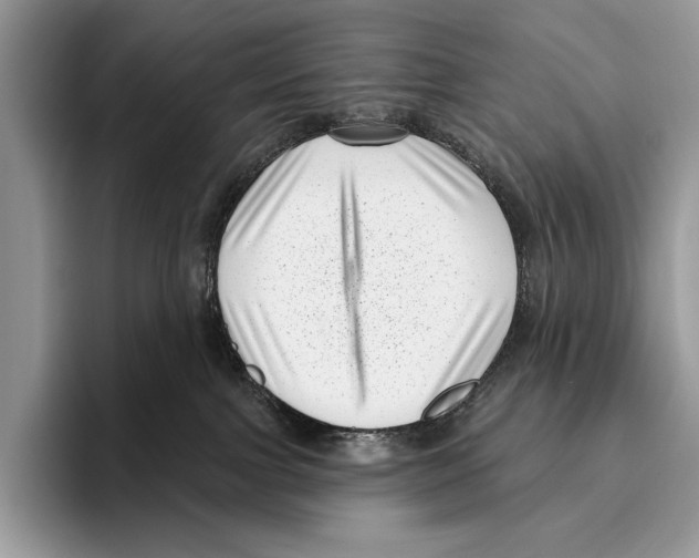 X0000095960091200802081326