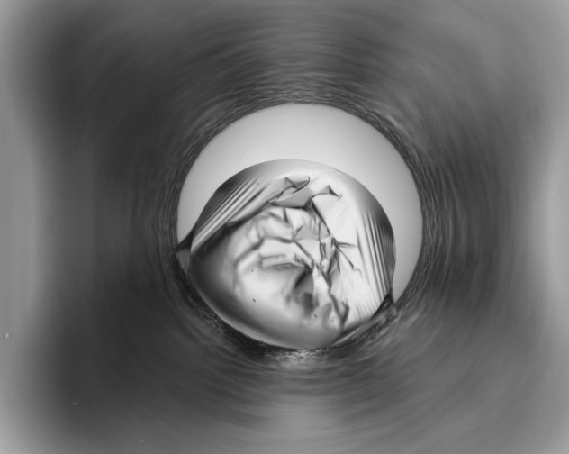X0000095960092200802081326