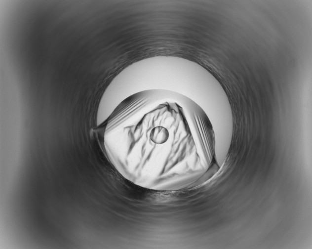 X0000095960094200802081326