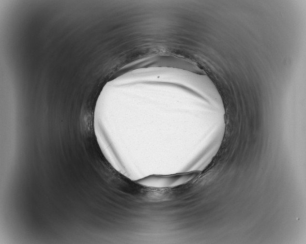X0000095960096200802081326