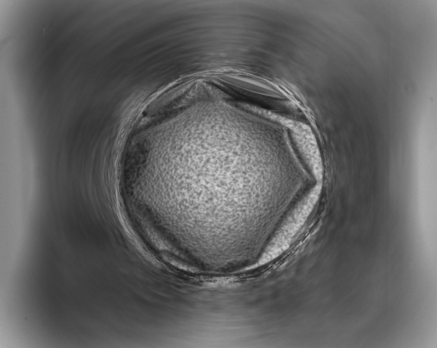 X0000095960097200802081325