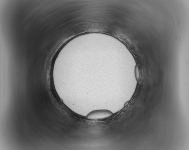 X0000095960098200802081325