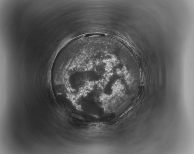 X0000095960099200802081325