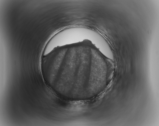 X0000095960100200802081325