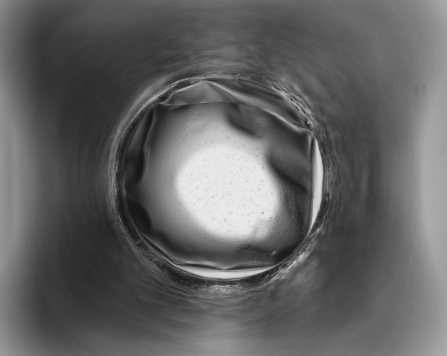 X0000095960101200802081325