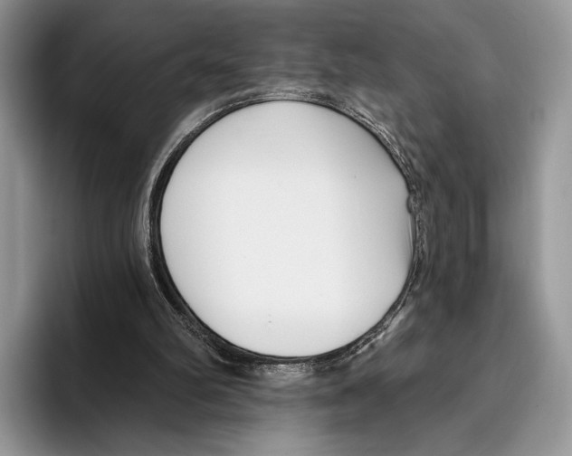 X0000095960102200802081325