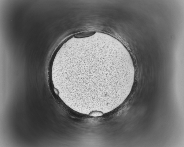 X0000095960103200802081325