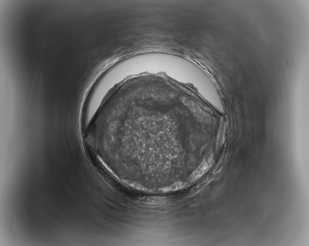 X0000095960104200802081325