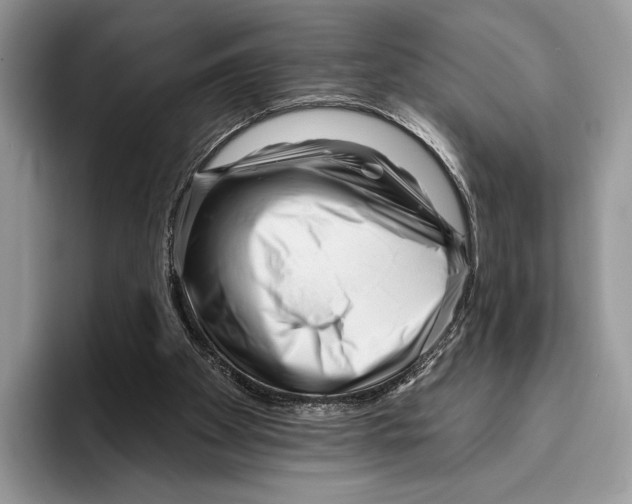 X0000095960105200802081325