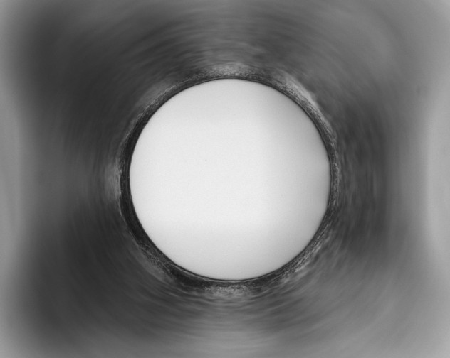 X0000095960106200802081325