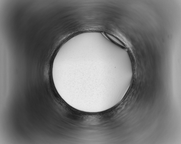 X0000095960107200802081325