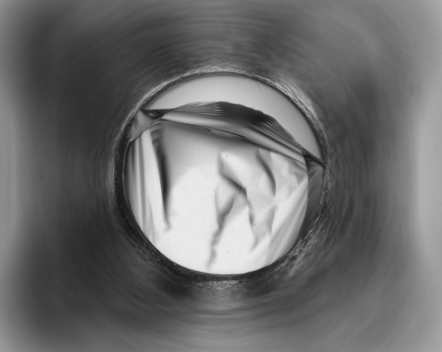 X0000095960108200802081325