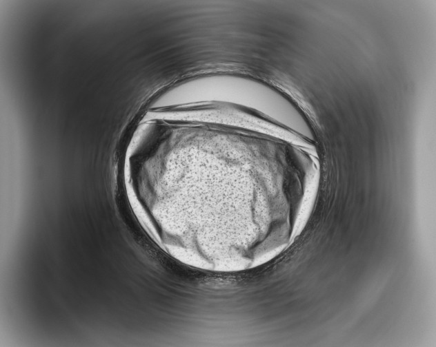 X0000095960110200802081325